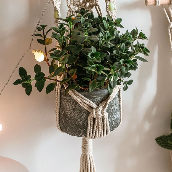 boho macrame wall tassel plant hangers - Picture 4 of 4